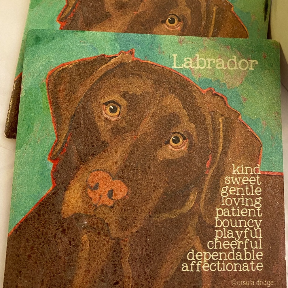 Chocolate Lab Coasters